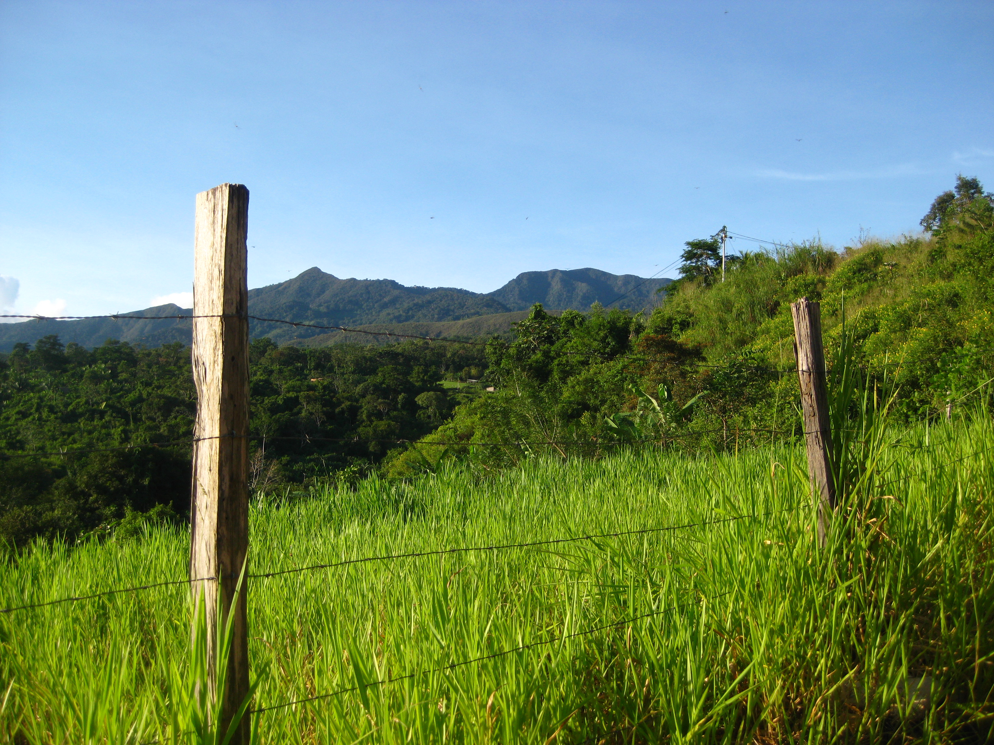 countryside